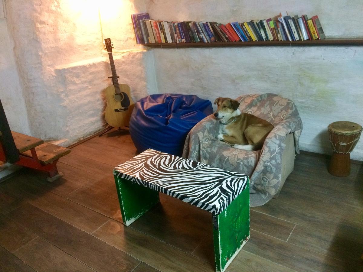 Green Studio Hostel Belgrad Zewnętrze zdjęcie